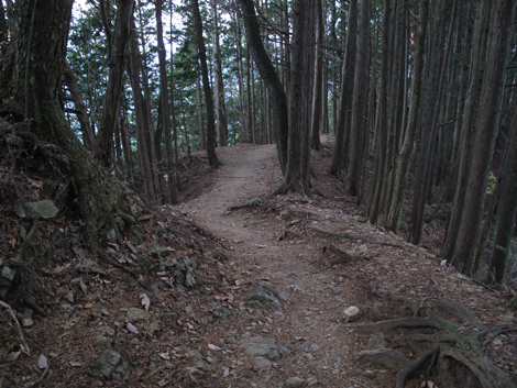 20171116hike (287)